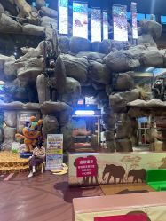 -卡通尼·Safari非洲探索乐园·生日会(金桥国际商业广场店)