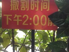 -左撇子私房面
