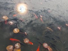 -普陀宗乘之庙(小布达拉宫)
