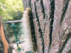 -宁波五龙潭景区