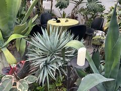 -禧室Joyous Lounge(禧园店)