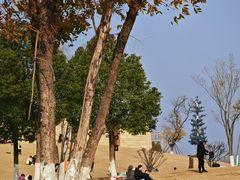 -盘龙城国家考古遗址公园