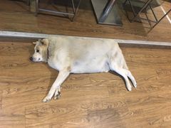 -金牌外婆家(苏州中心店)