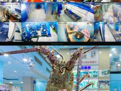 -小海豚·老字号海鲜餐厅(三亚湾店)