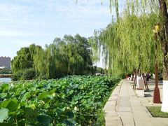 -济南大明湖景区