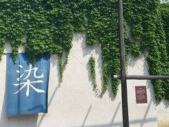 -乌镇东栅景区