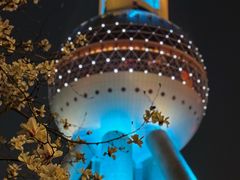 -东方明珠广播电视塔