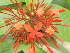 -兰陵国家农业公园