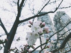 -复旦大学光华楼