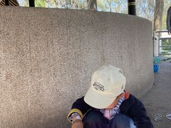-杭州少年儿童公园