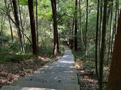 -敬亭山风景名胜区