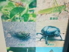 -上海昆虫博物馆