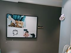 -御宝贝·A梦猫科宠物医院(国际猫友好医院)