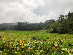 -武陵山森林公园