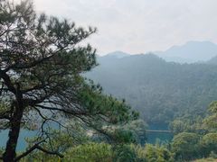 -鼎湖山风景区
