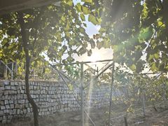 -大泽山风景名胜区