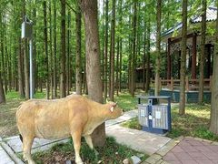 -南京金牛湖风景区