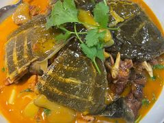-洞庭家宴·头牌甲鱼(广渠门店)