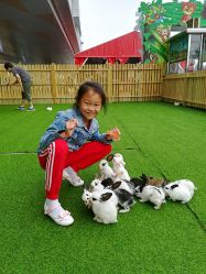 -萌宠亲子动物乐园(槐房万达店)