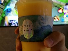 -野萃山·潮汕厚果汁(十亩地店)
