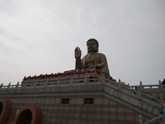 -龙口南山旅游景区