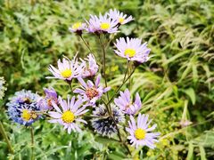 -白草畔自然风景区