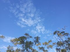 -飞凤山奥体公园