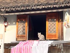 -三林塘老街