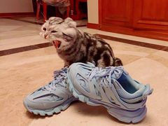 -BALENCIAGA(SKP女装店)