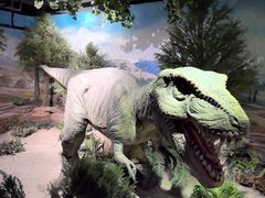 -国家自然博物馆