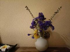 -和悦SPA·采耳(聚丰园路店)