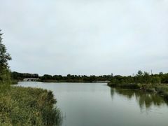 -马家湾湿地公园
