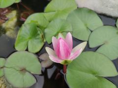 -湘湖金融镇