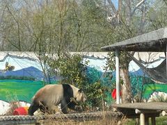 -苏州太湖国家湿地公园
