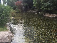 -苏州环球188国际公寓(金鸡湖店)