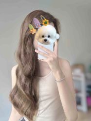 点击看大图 -New Fashion发型定制