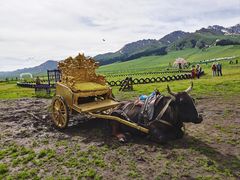 -新疆那拉提国家旅游度假区
