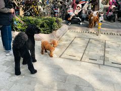 -安福路