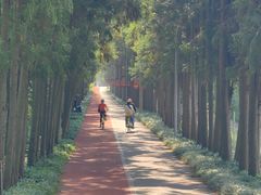 -上海长兴岛郊野公园