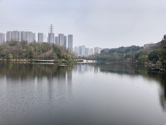 -重庆彩云湖湿地公园