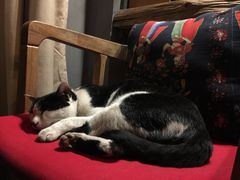 -BUND·FIVE外滩5号(天际店)