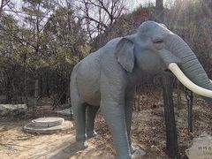 -周口店北京人遗址公园