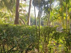 -西双版纳融创皇冠假日度假酒店