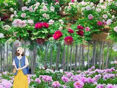 -仁和公园(顺义区)