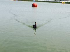 紫清湖生态旅游温泉度假区-南京汤山紫清湖生态旅游温泉度假区