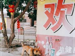 -溪悦渔庄(九龙湖店)