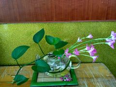 -弘法寺斋菜馆素食