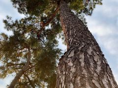 -梅地亚君澜度假酒店俱乐部