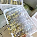 【深圳海鲜超市】现捞现杀生猛海鲜，人来人往批发档口