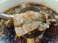 -金海椒罐罐鲢鱼(东方桂苑店)
